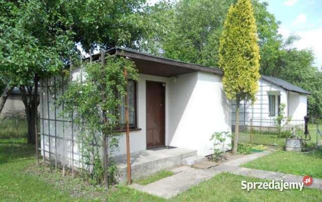 Działka rekreacyjna ROD Metron Rudak siatka Grunty i działki Toruń