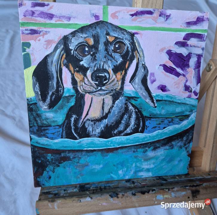 Obraz jamnik jamniczek artysty na prezent na Brzesko