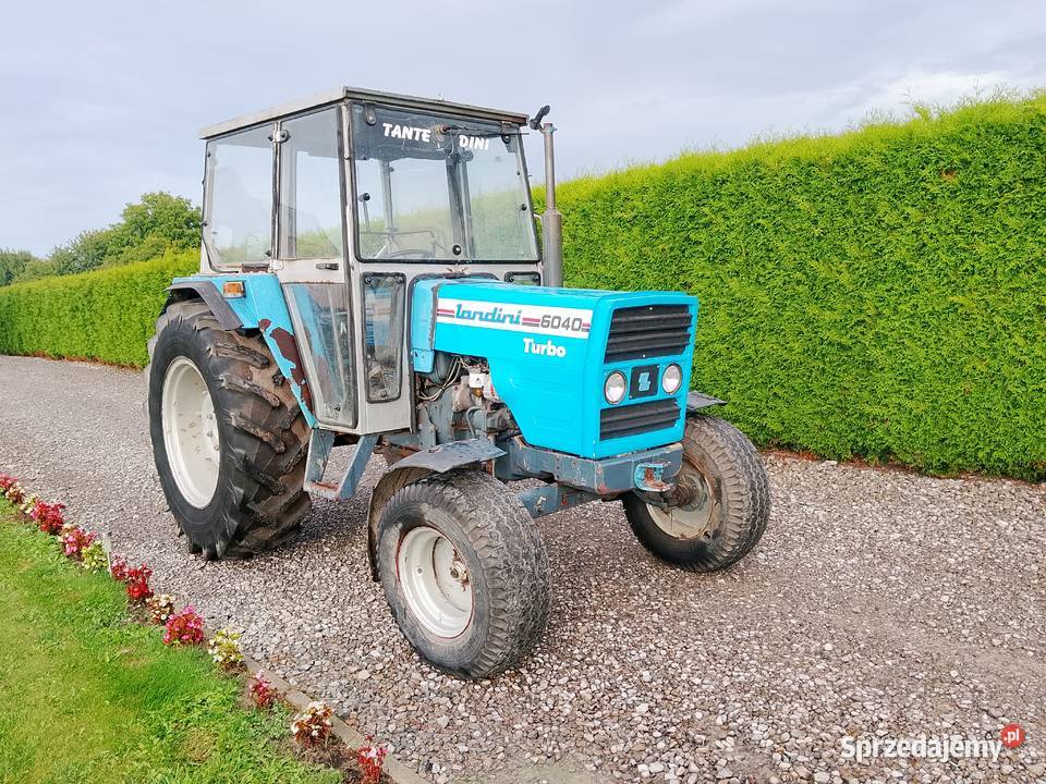 Landini 6040 sprowadzony Tarnawa Mała
