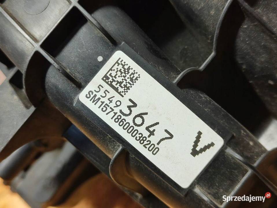 Kolektor Ssący Listwa Wtryskowa Kompletny Opel Pozostałe Pleszew