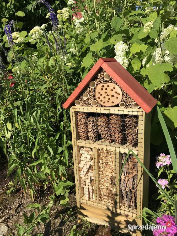 Domek owadów 70 Sławno sprzedam