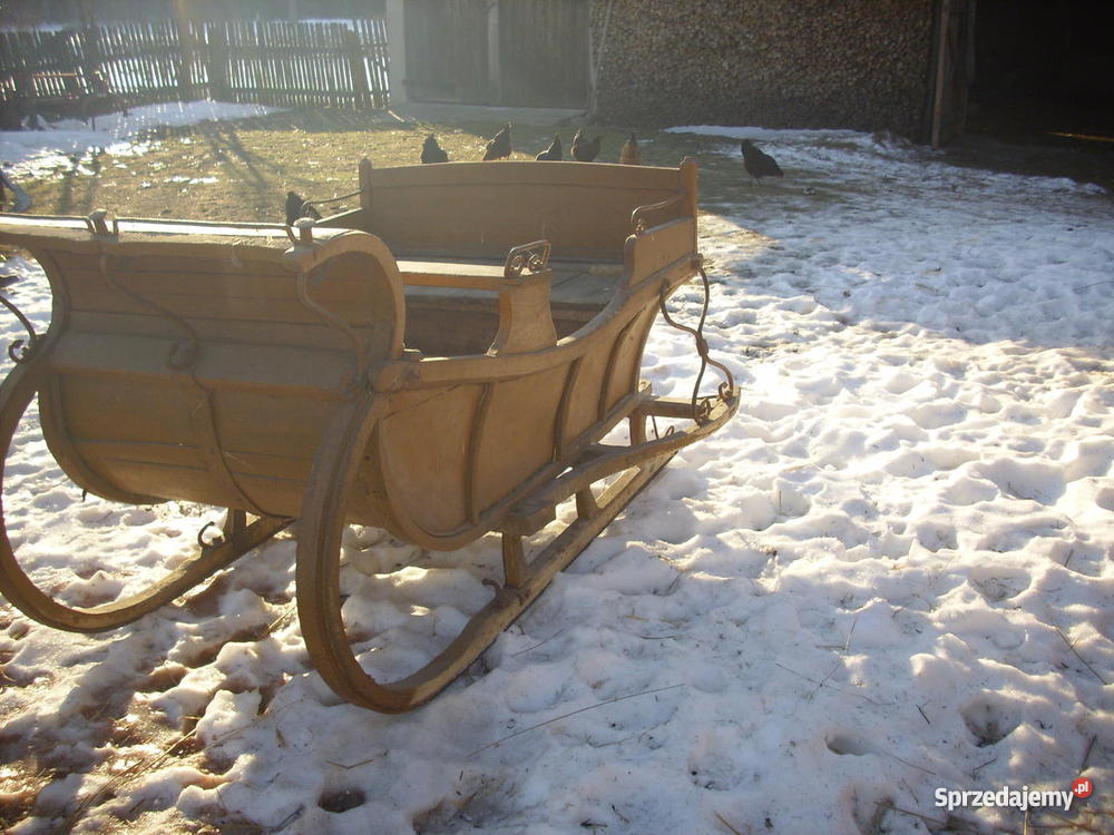 Sanie konne Łozice
