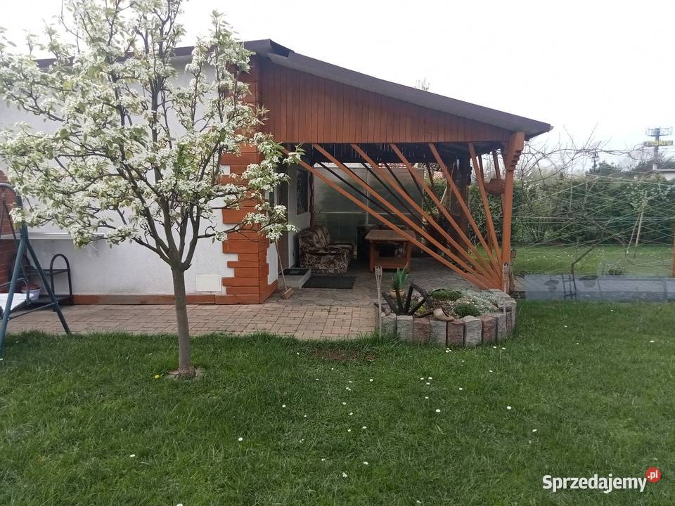 Sprzedam ogród działkowy 300mkw Zabrze sprzedam