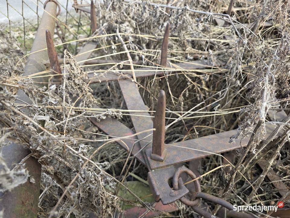 Brony polowe 5tki lekkie Chojnów sprzedam