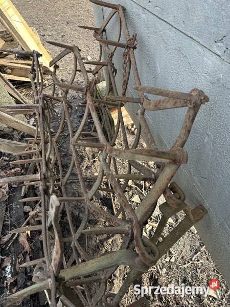 Brony polne 3 Skalbmierz