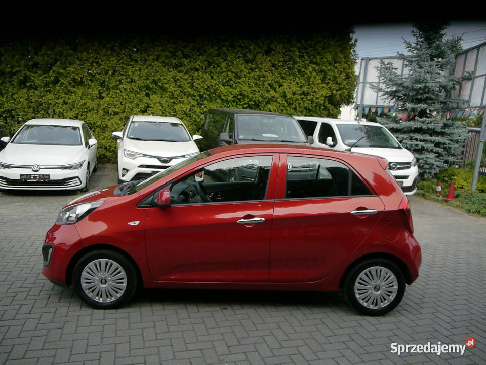 Kia Picanto 10 Stan Idealny 100bezwypadkowy manualna Częstochowa