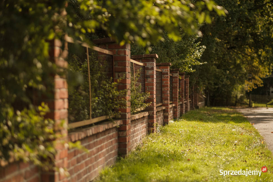 Zabytkowy pałac z parkiem Wilków woj Opolskie sprzedam