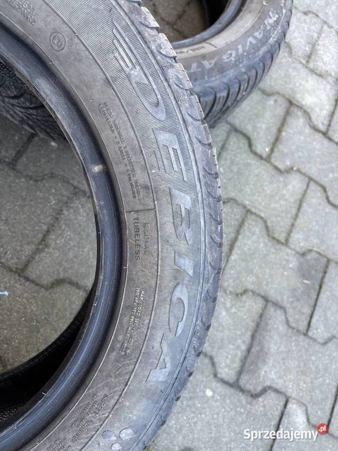 Dwie sztuki Dębica całoroczne 1856515 całoroczne łódzkie Zgierz