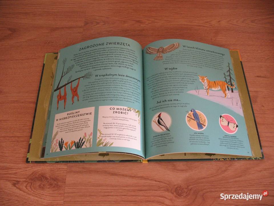 Ratujmy naszą planetę LASY KSIĄŻKA śląskie Chorzów