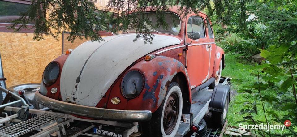 Garbus oval 1953 Tychy