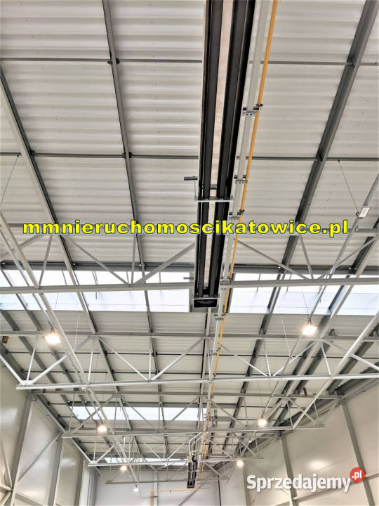 Halamagazyn do wynajęcia Katowice A4 media biura śląskie