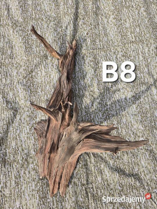 Korzeń ozdobny do domu ogrodu akwarium Trzciel