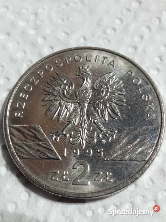 2 SUM 1995 r Świdnica
