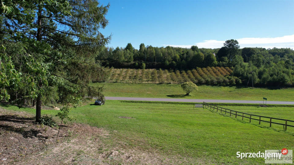 sprzedaży działki TeodorówkaKolonia 4182m2 lubelskie Teodorówka-Kolonia