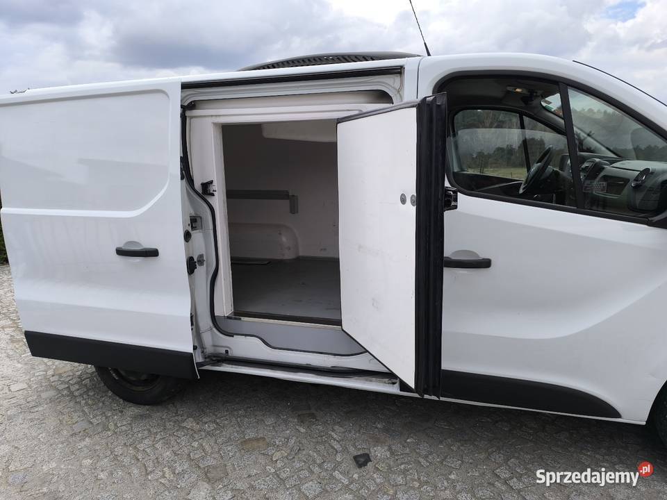 Nissan nv 300 chłodnia Inowrocław