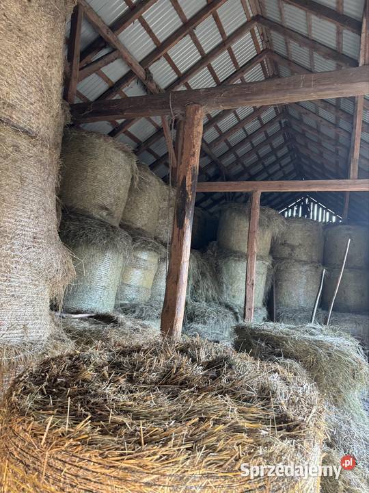 Sprzedam siano pierwszy pokos Silpia Duża