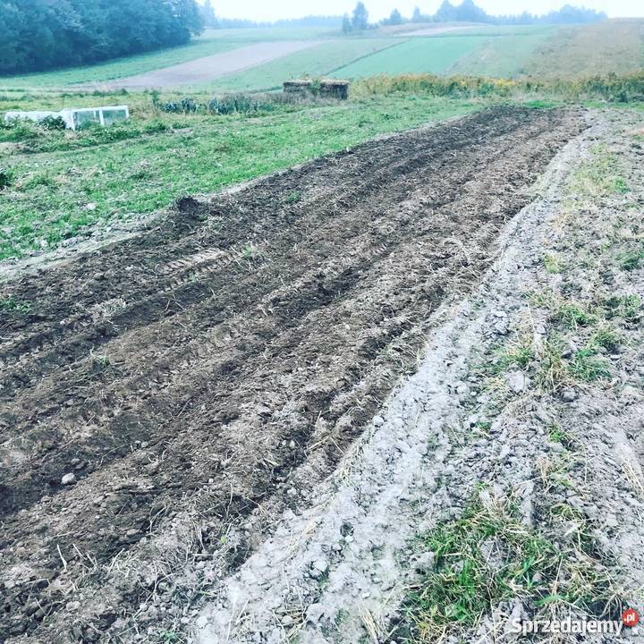 Brona talerzowa talerzówka do mini ciagnika mała Olkusz