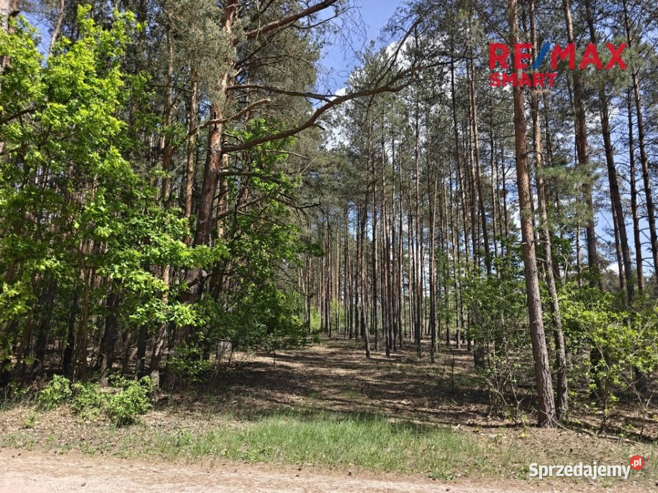 Krzyżówkaurokliwa działka z potencjałem 169m Krzyżówka