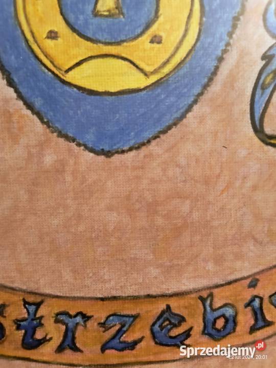 Herb szlachecki Jastrzębiec obraz akwarela na Ruda Śląska