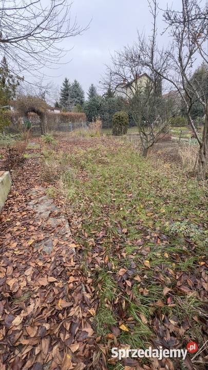 Działka rekreacyjna ROD Będzin 293m2 Nieruchomości