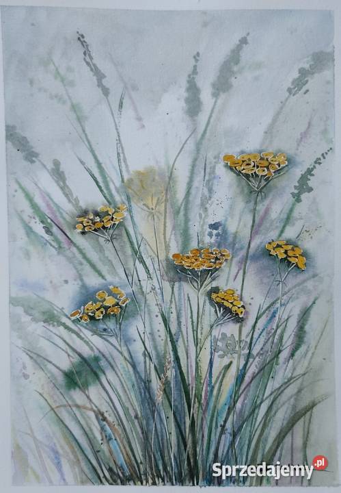 Akwarela Akwarelka Obraz pt Wrotycz Malarstwo Gdańsk