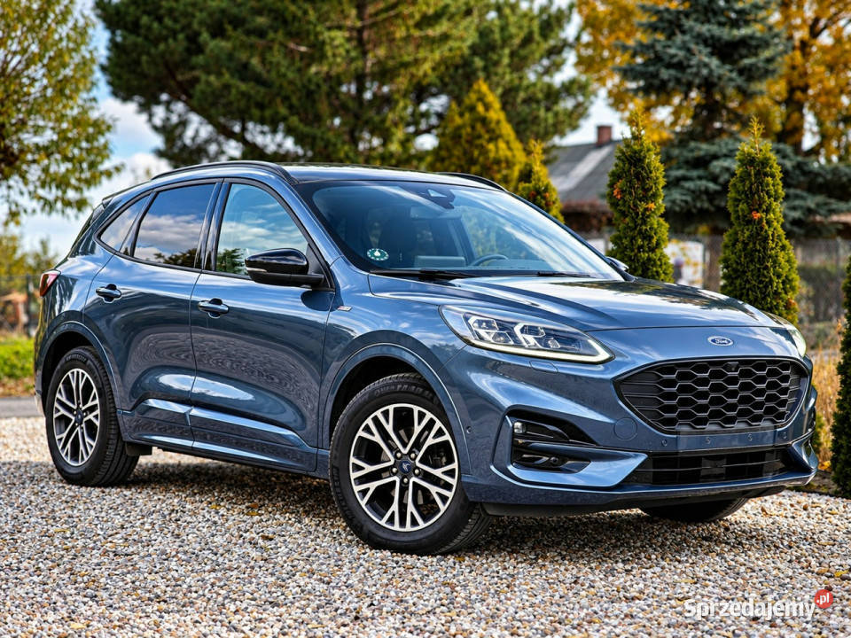 Ford Kuga III 2019 4/5