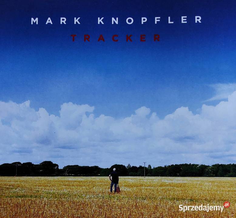 CD Nowa Wspaniały Album CD SIMPLY RED Album Blue śląskie Katowice