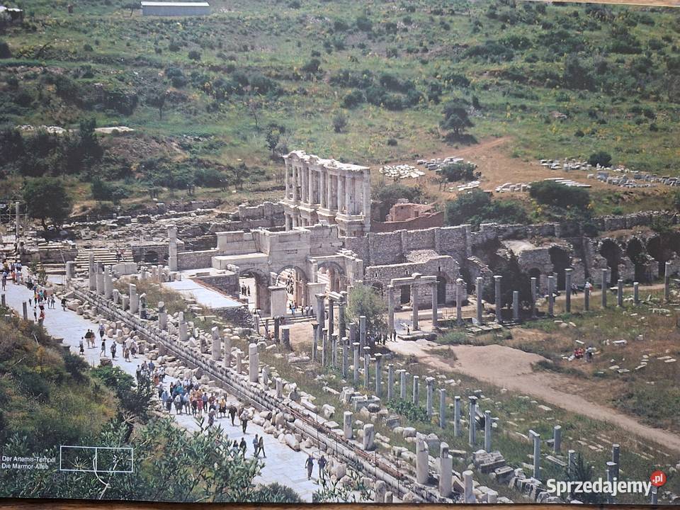 Turcja Turkei Efes Gross ist Artemisia Ephesia j Kraków