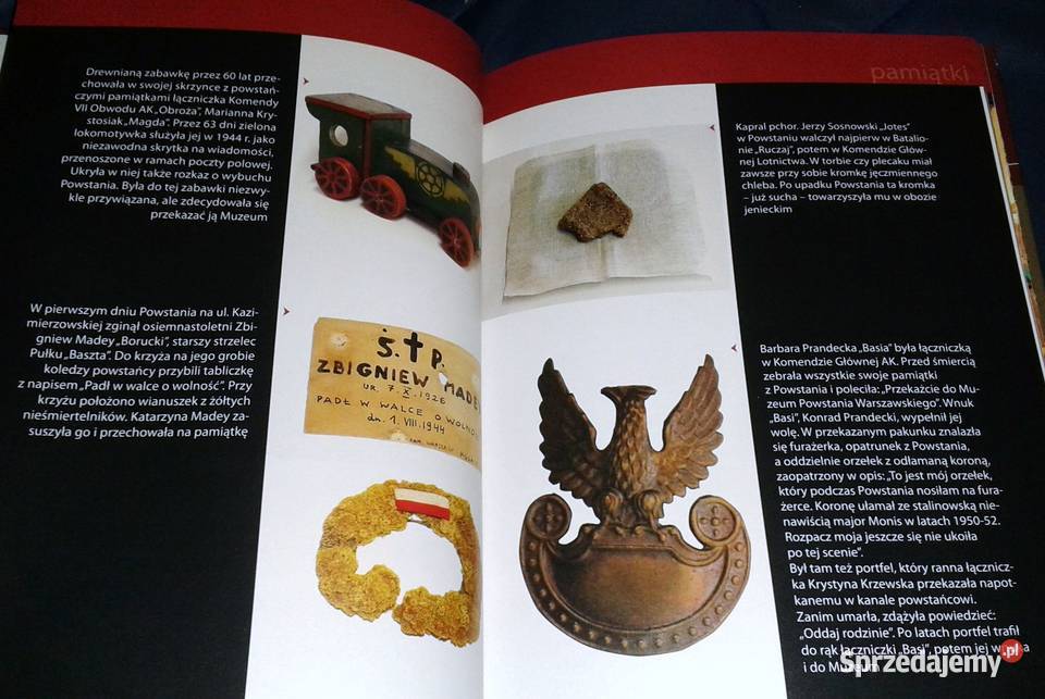 Wielkie Muzea Muzeum Powstania Warszawskiego twarda Chełm