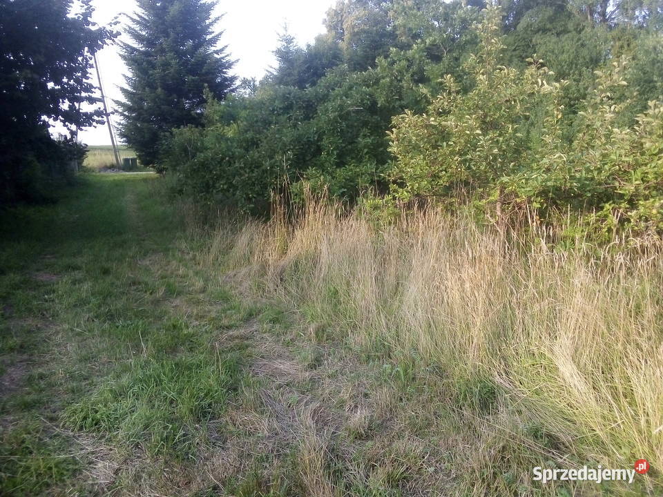 Działka w Barłominie k Luzina Barłomino