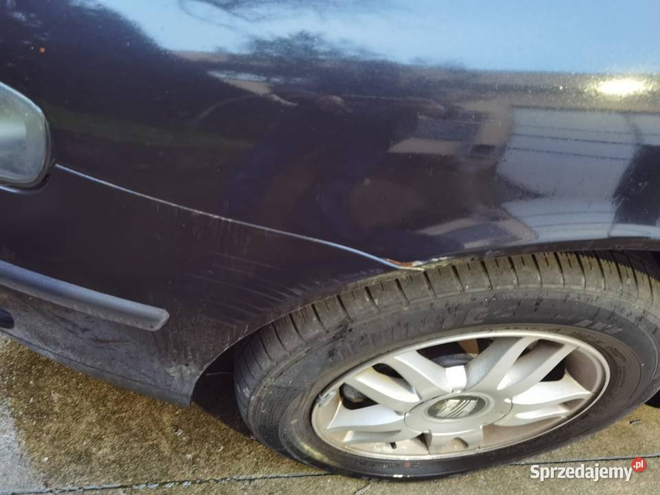 Seat Leon 19 TDI 90 małopolskie Limanowa