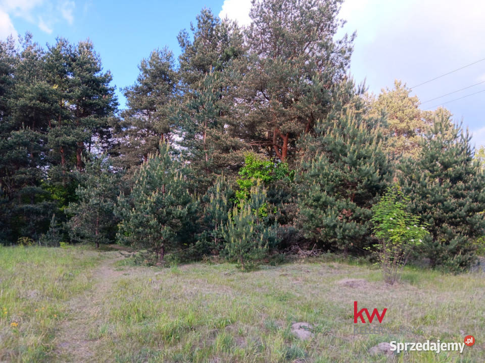 Grunt Przeczyce 3600m2 Sprzedaż śląskie sprzedam