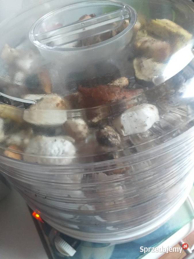 Grzyby świeże prawdziwki Zawoja