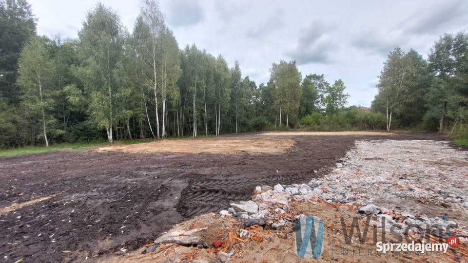 Dom wolnostojący Kąck 11678m2 siatka sprzedam