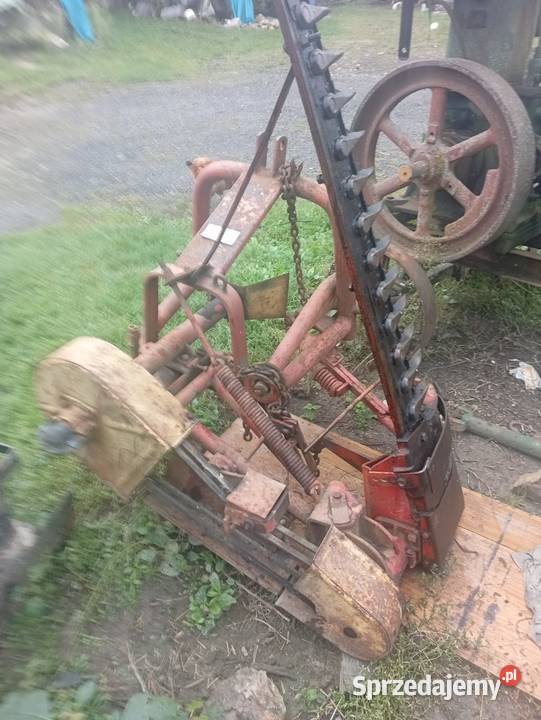 Kosiarka listwowa Osa lubelskie Olszanka