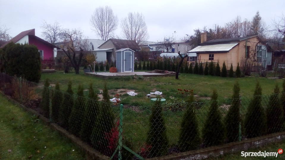Działki Na Sprzedaż Piotrków Trybunalski Sprzedam ogródek działkowy na ogrodzie "Stokrotka" Piotrków Trybunalski