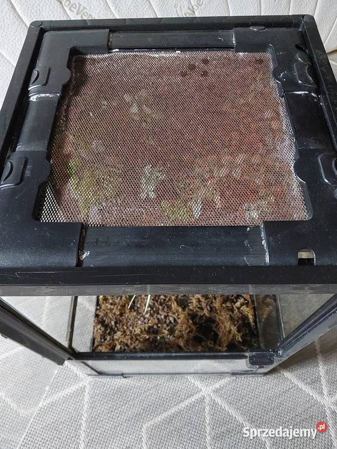 Terrarium Warszawa