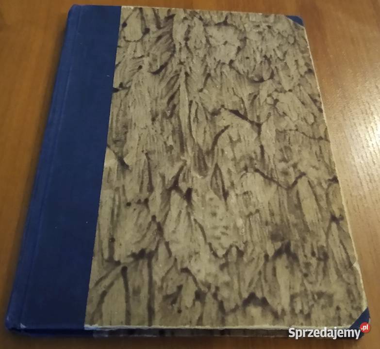 Wykłady o filozofii średniowiecznej Leszek filozofia, historia filozofii Gdańsk