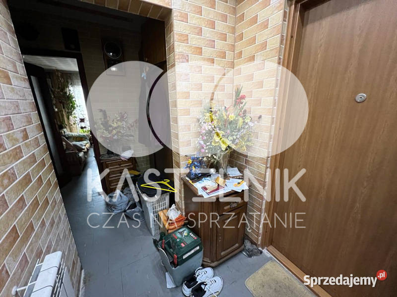 Utylizacja mebli pluskwach Radzionków Kastelnik