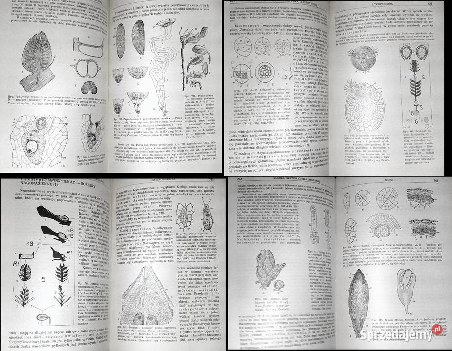 Botanika E Strasburger Chełm