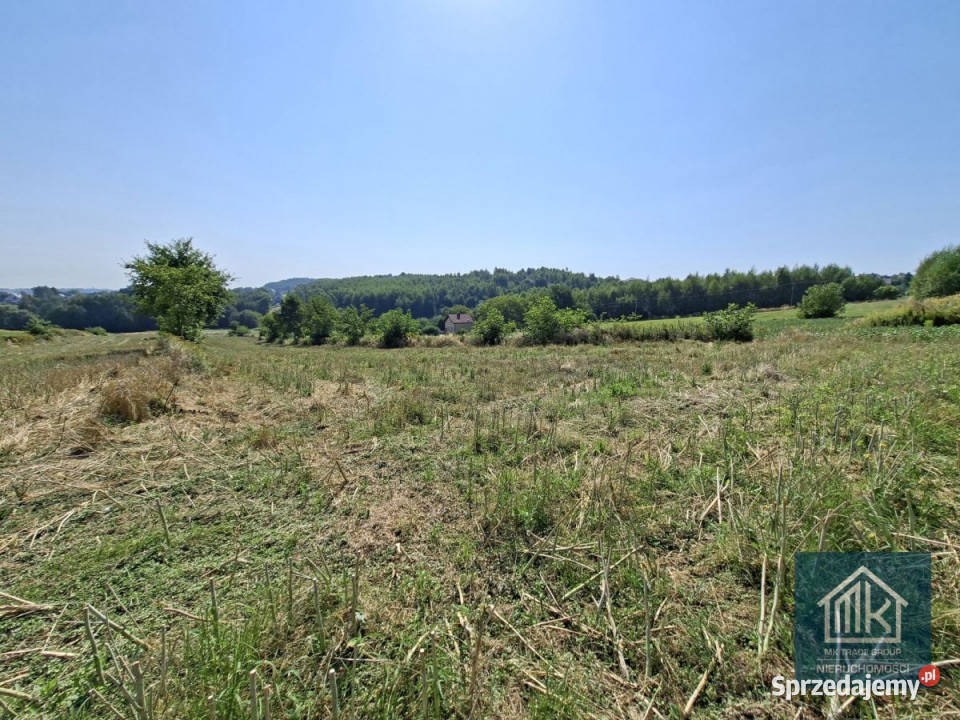 sprzedaży działki Bodzanów 5890m2