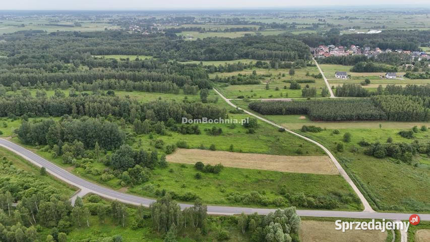 Działka Borek 4572m2