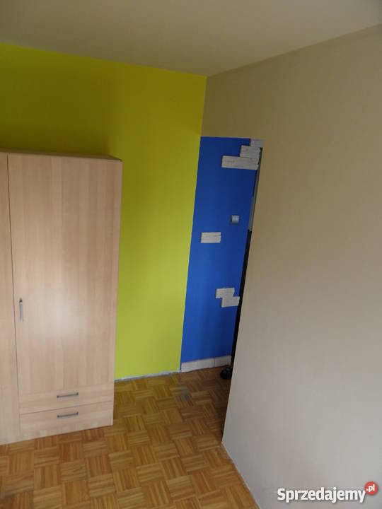 Bugaj Wajsówny BEZPOŚREDNIO 3571zł/m2