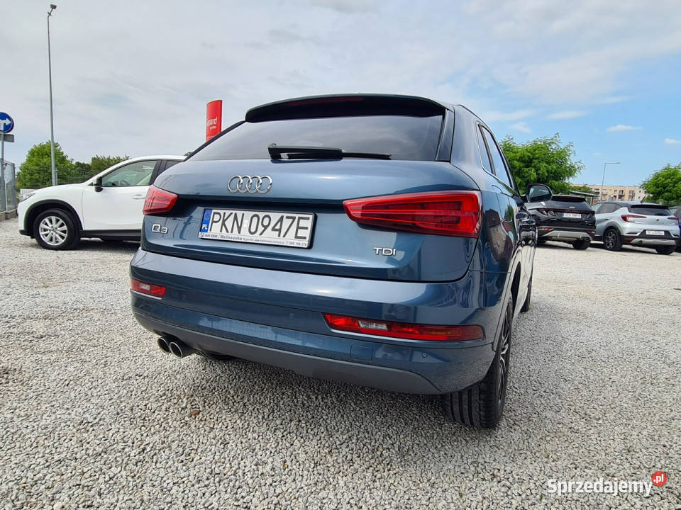 Audi Q3 20 TDI 150 Navi PDC Full Led Klimatronik światła LED Wągrowiec