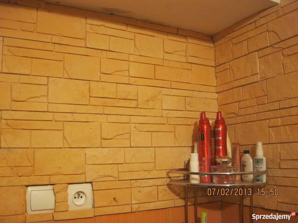 Kamień dekoracyjny Płytki gipsowe Ozdobny Okazja Leszno