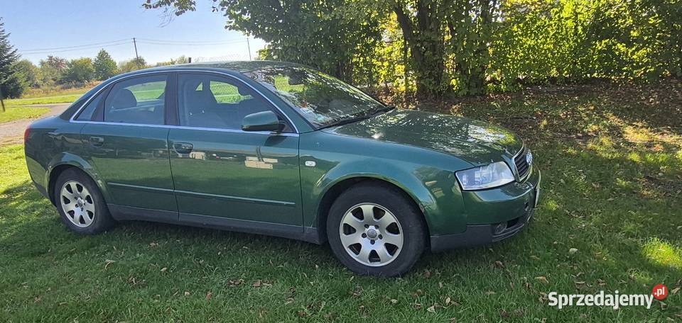 Audi a4 b6 Rok produkcji 2003 Ostrowiec Świętokrzyski