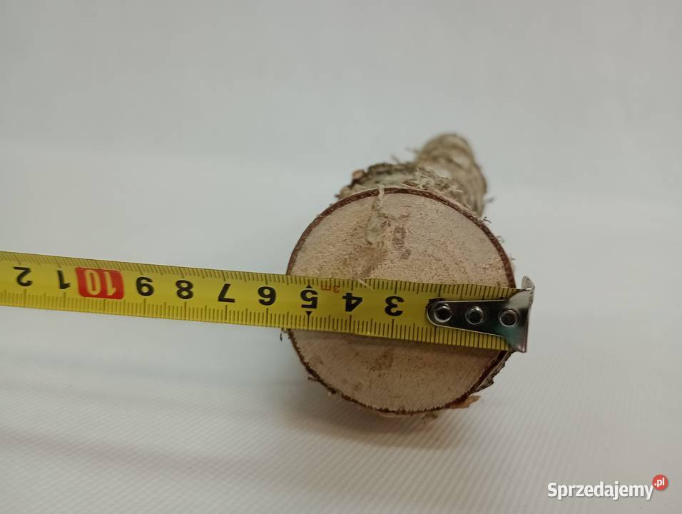 Kołki patyki patyczki brzozowe 50 długości 5 Żagań sprzedam