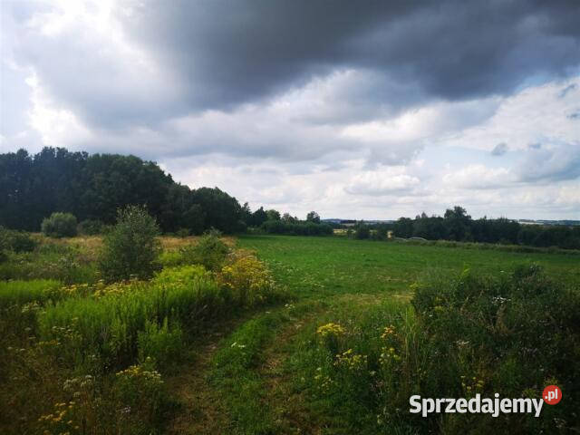 sprzedaży gruntu Kromnów 1556m2