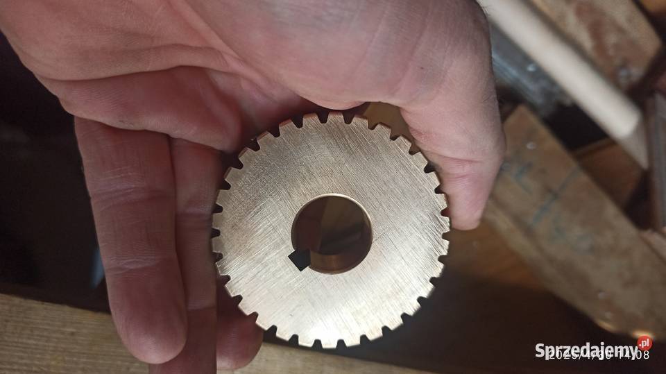 zebatka ślimacznica do mechanizmu posuwu gomad