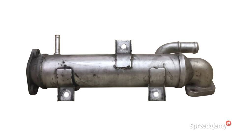 CHŁODNICA CHŁODNICZKA SPALIN EGR SEAT LEON I osobowe świętokrzyskie Działoszyce